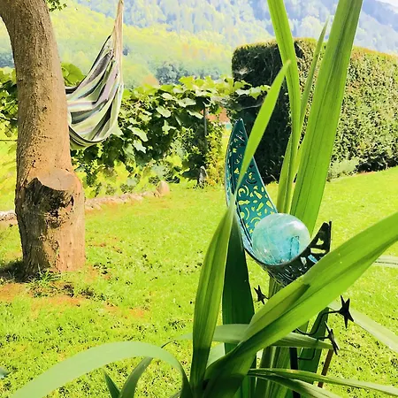 Bed & Breakfast Lotus Oasis I Nature Experience
