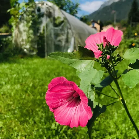 Lotus Oasis I Nature Experience Bed & Breakfast