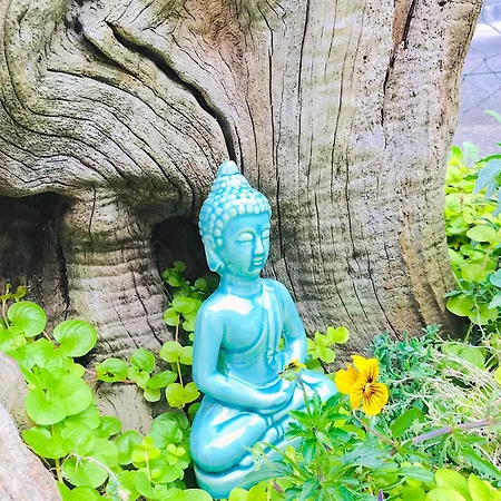 Lotus Oasis I Nature Experience Bed & Breakfast Torre