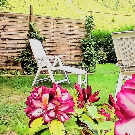 Lotus Oasis I Nature Experience Bed & Breakfast Torre