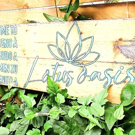Bed & Breakfast Lotus Oasis I Nature Experience Torre